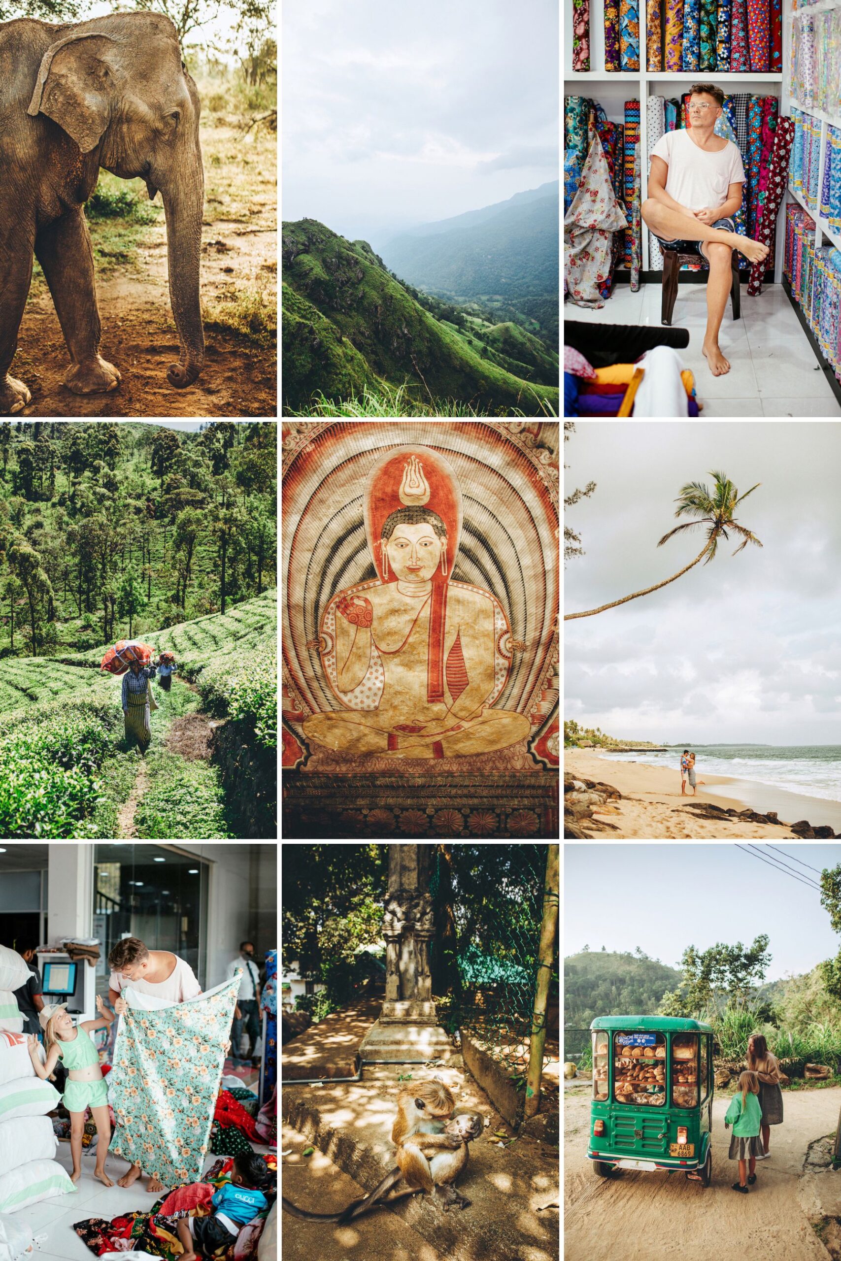 Sri Lanka – the island of a thousand colors and scents