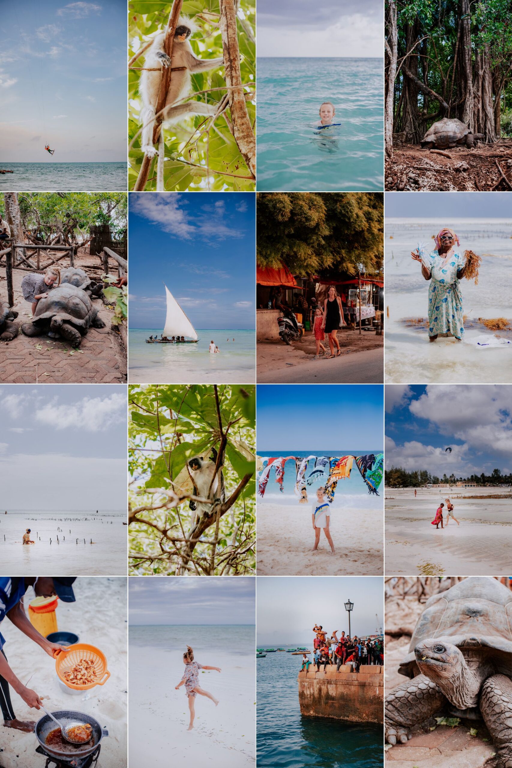 Zanzibar – island of spices, surfers, and endless adventure